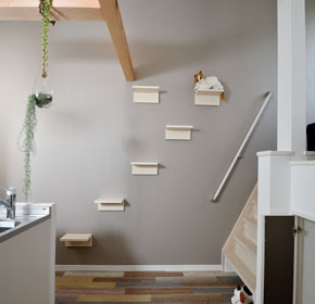 オリジナルキャットウォーク