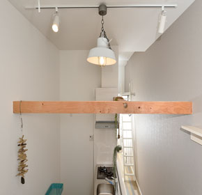 猫が頭上をスイスイ