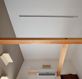 猫が頭上をスイスイ