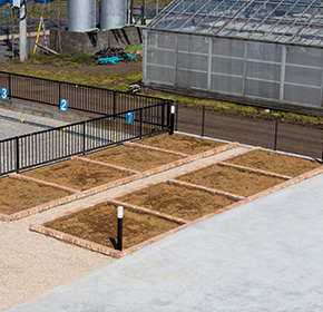 入居者専用菜園スペース