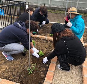 菜園から始まる物語