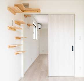 キャットステップ